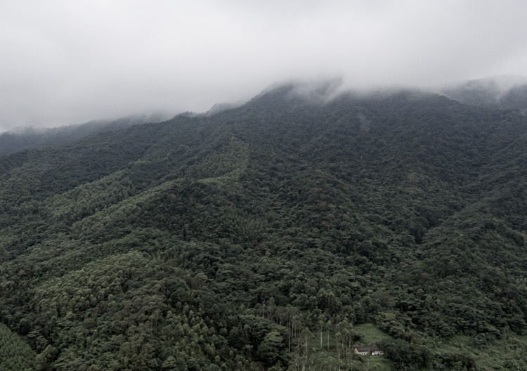 旅游景点