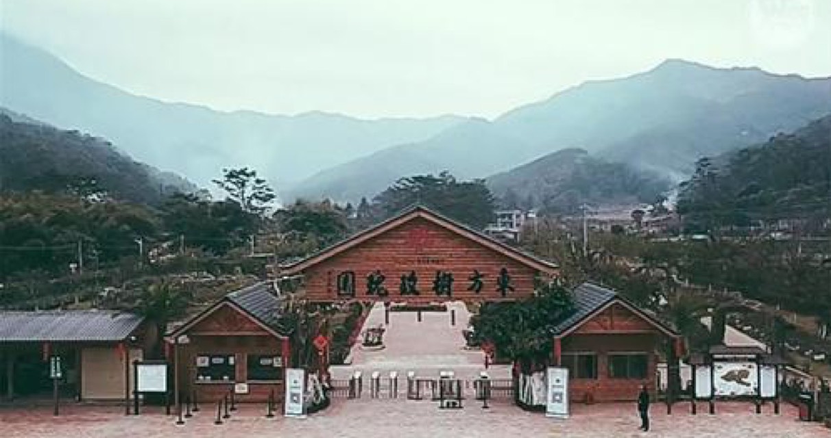 东方树玫瑰园