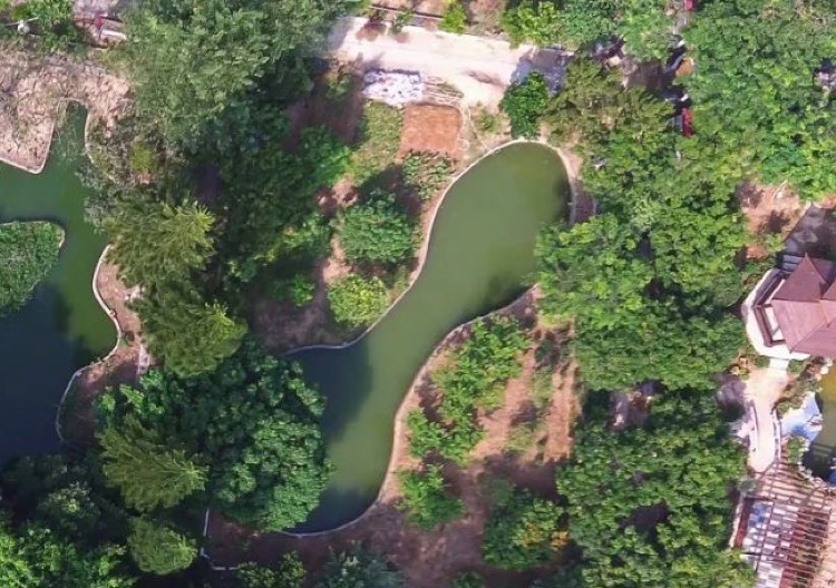 屯里院