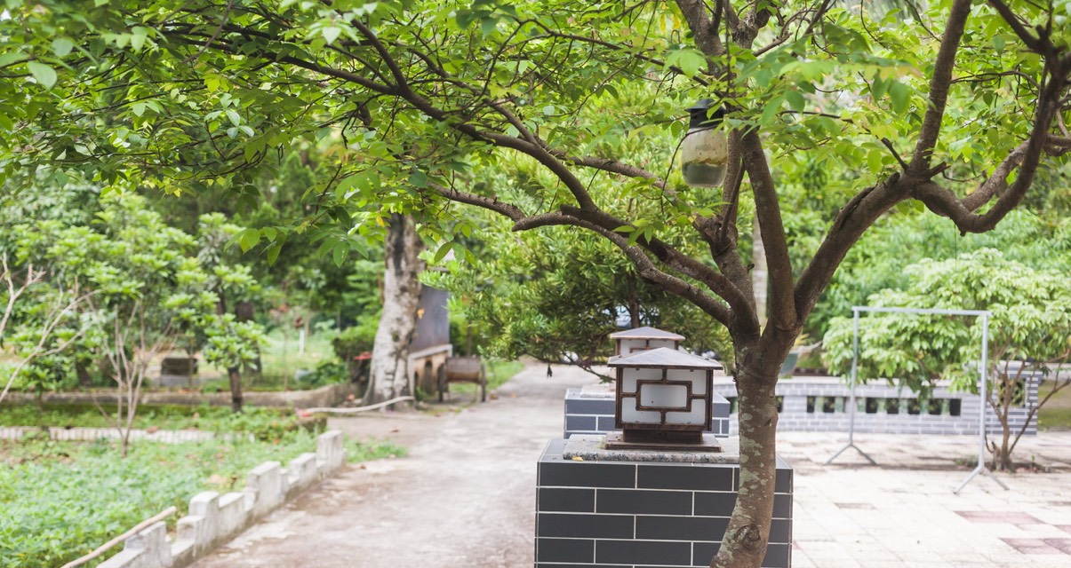 庭院